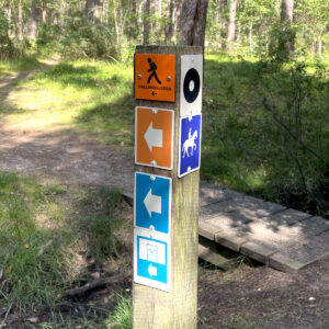 Motionsspår och leder